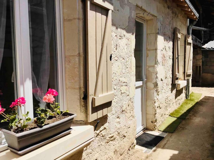 Logement Neuf Et Cosy Proche Centre Ville Chinon Exterior photo